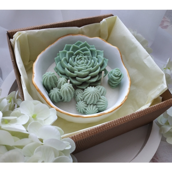 Świeca sojowa z kaktusami