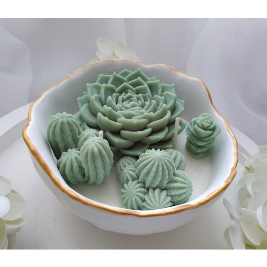 Świeca sojowa z kaktusami