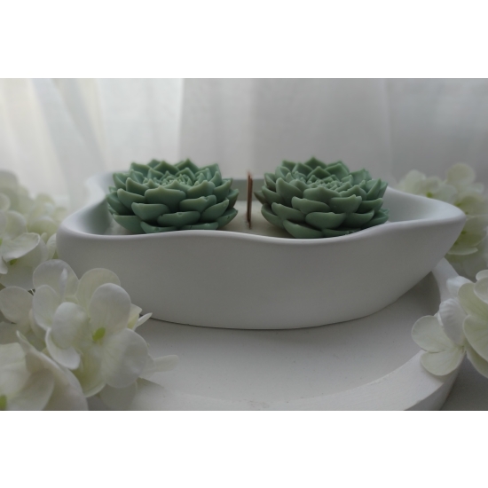 Duża świeca sojowa z kaktusami